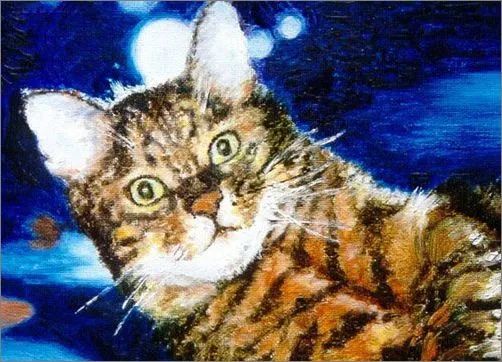 佘诗曼|曾被嘲花瓶的她,内娱已经高攀不起了