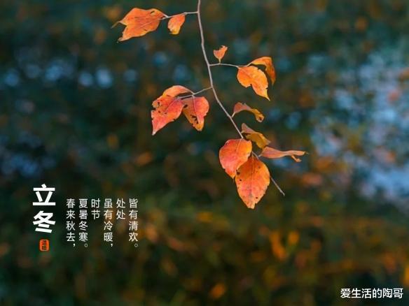 立冬|11.8号立冬,老讲究“立冬4不吃,吃了冬难安”,哪4样?别不懂吃