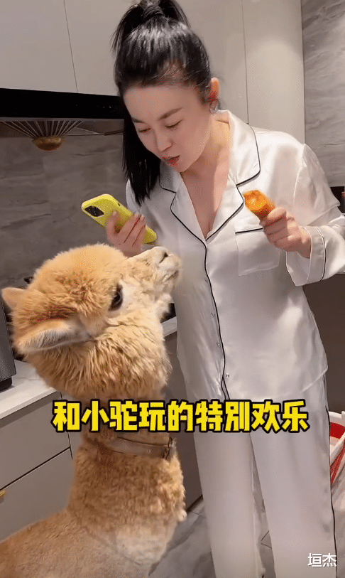 关婷娜|“污言秽语”成了唯一标签，关婷娜的遭遇，是娱乐圈的悲哀