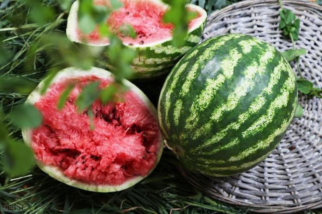 减肥，不能吃“西瓜”吗？医生：若不想腹部长赘肉，请少吃6果