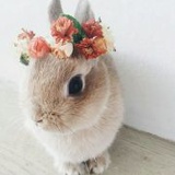 春柔记笔记