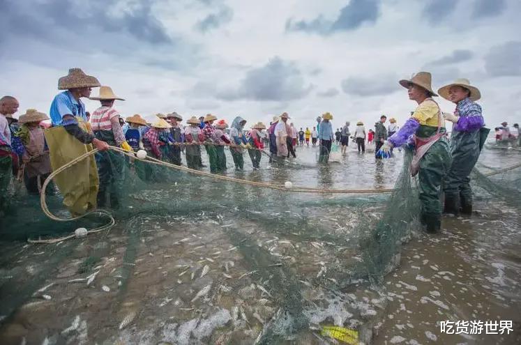 黄花鱼|?下周开海！4种海鱼将大量上市，都是我国近海的，放心买，抓紧吃