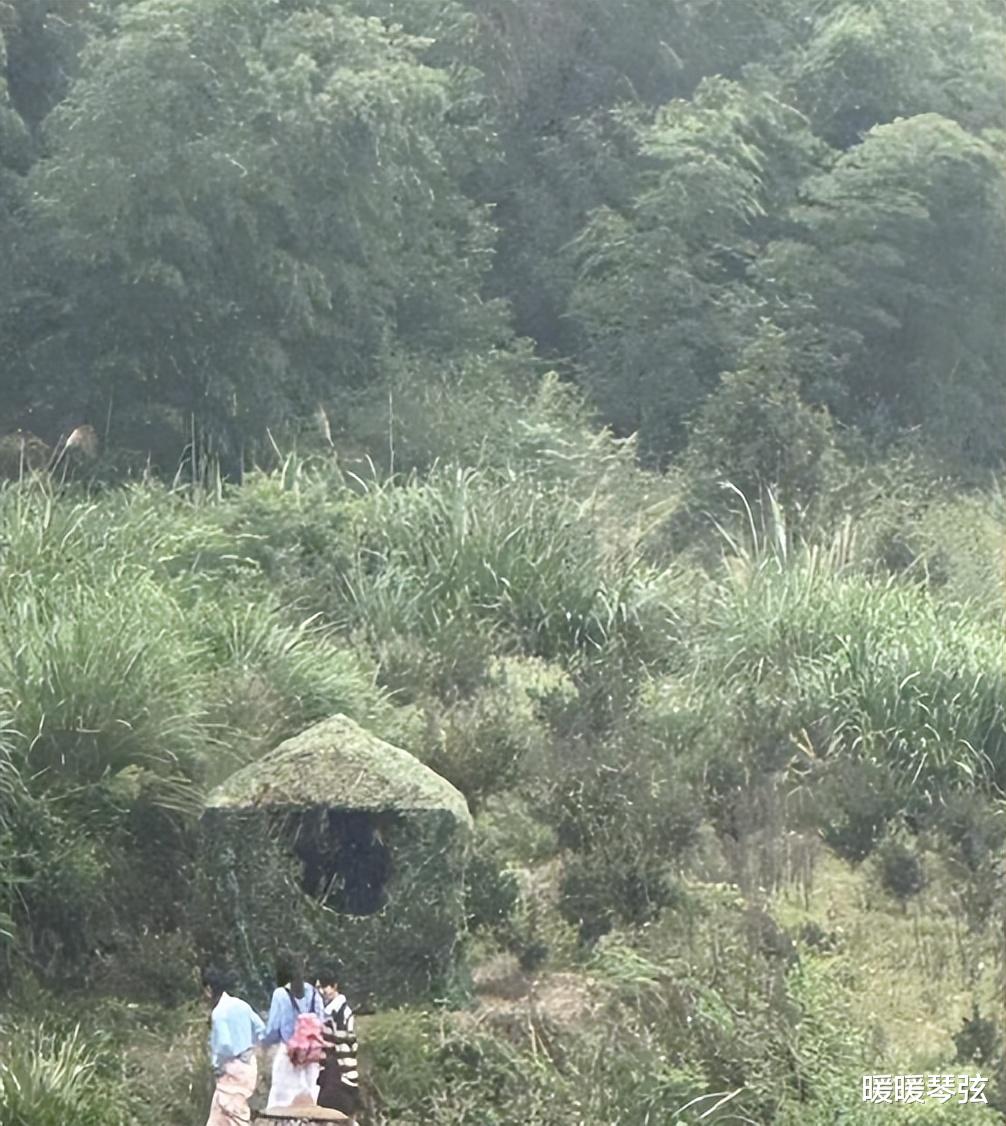 女版《向往的生活》来了！杨紫首次搭档林心如，苏有朋乔欣也来了