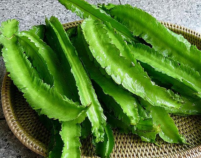 衰老 想长寿全靠吃，3种食物离不开，健脑美容，滋补身体、延缓衰老