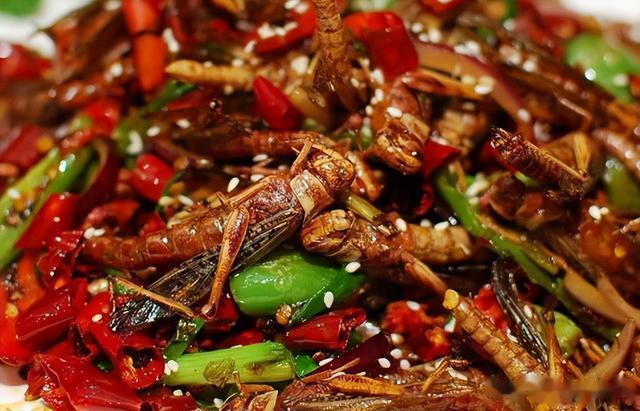 |以前人人喊打的害虫,如今成为吃货最爱,200元1斤抢着吃?