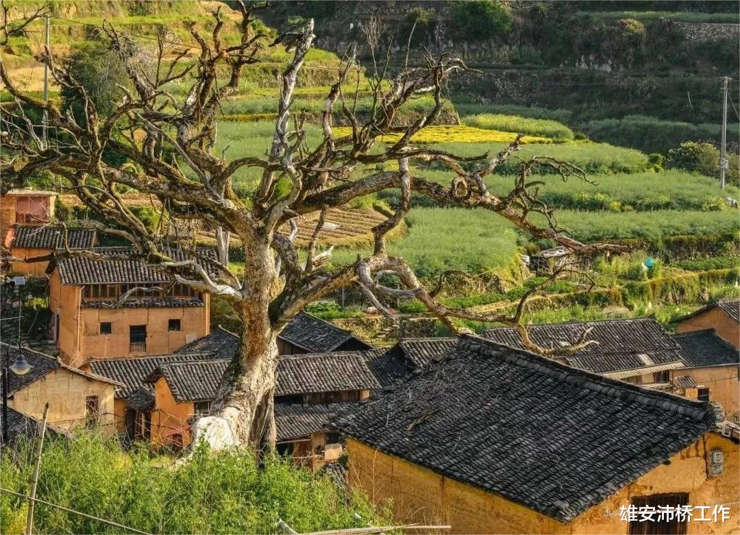 免签|中国古老村落后畲村的壮丽风光