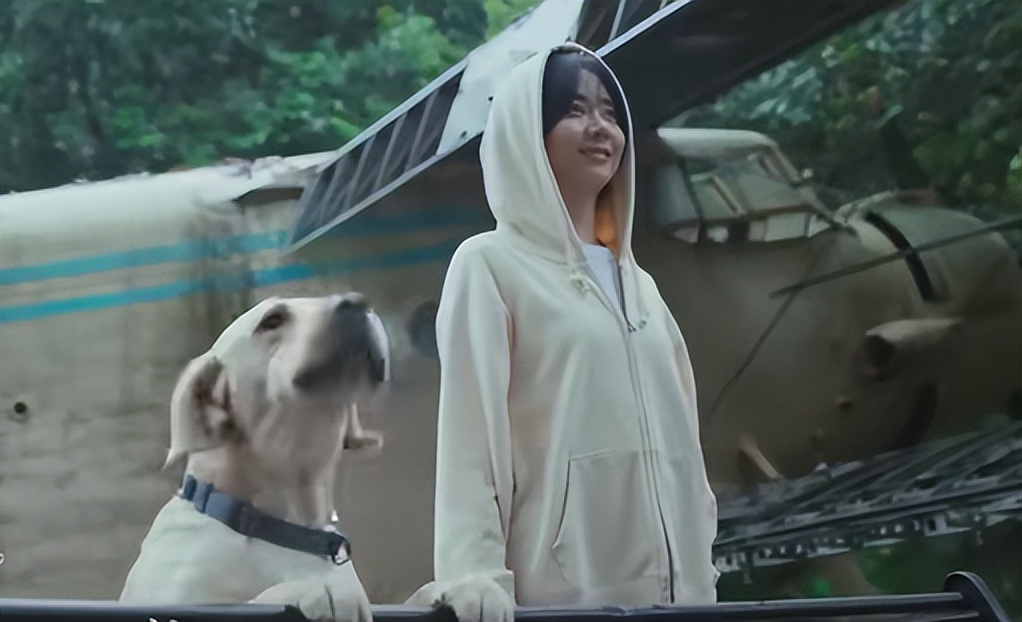 《再见，李可乐》票房井喷，打了多少资方的脸，吴京又赌对了