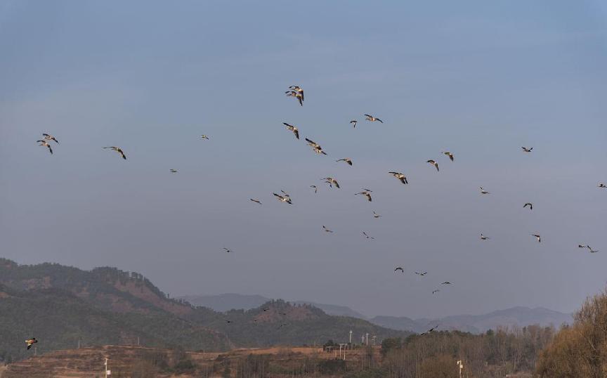 旅游景点|4个小众旅游景点，趁着天气不算太热，赶快启程吧