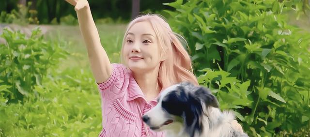 双眼皮别乱割，从景甜到戚薇，这些明星的“后遗症”出来了