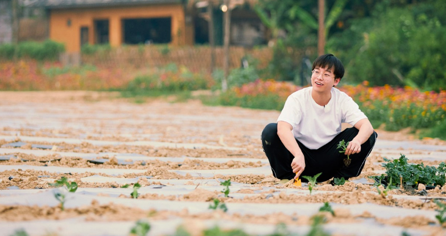 黄磊|向往的生活：好遗憾！黄磊何炅即将离开真的吗？网友：我还怎么学习