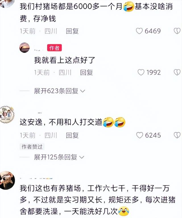 00后|“我找到工作了”，00后社恐女大学生进厂养猪