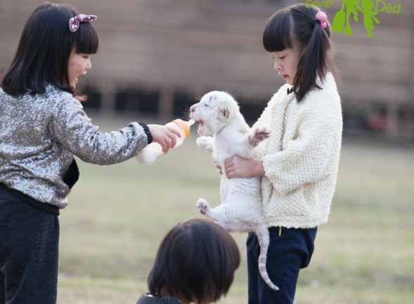 爸爸去哪儿|《爸爸去哪儿》不知不觉开播十年,来看看各位家长孩子们现状如何?