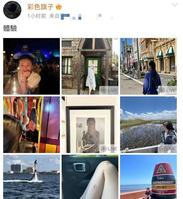 杨丽萍|25岁小彩旗受伤独居国外，被亲姨妈杨丽萍拿钱养着，是爱还是害？