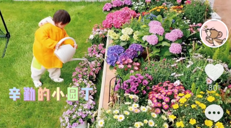 苗苗|郑恺老婆首度回应住上亿别墅,自曝是租别人的,一双儿女可爱出镜