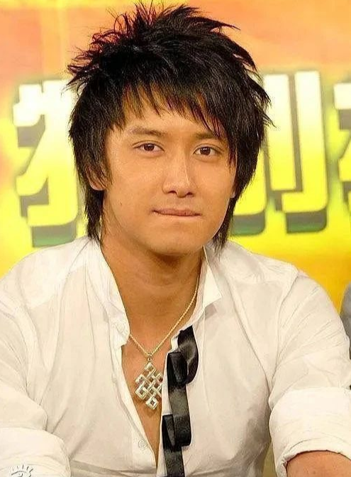 中国好声音2013|巫迪文官宣再婚,《加油好男儿》和《绝对计划》已经是时代眼泪