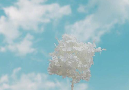 求职|如人饮水，冷暖，自知