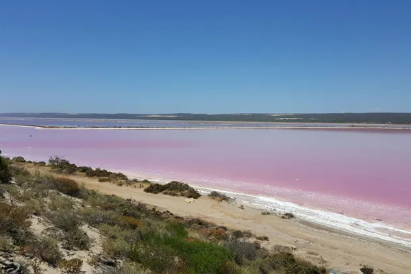 粉色|走进澳大利亚，碧蓝的天，粉色的海