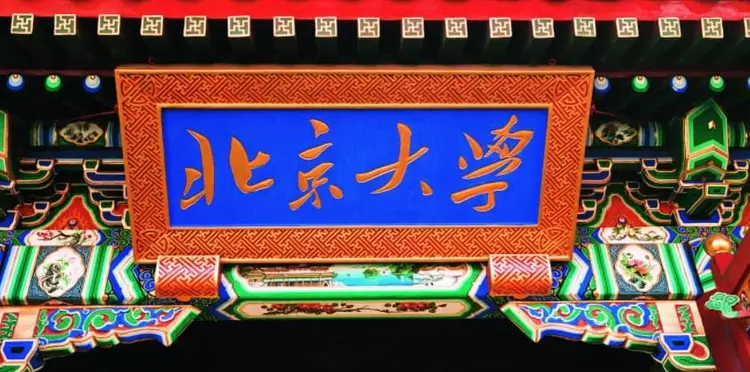 求职|北京大学一博导新年伊始失业, 发文求职遭嘲讽! 网友: 北大自掘根基