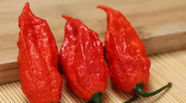 魔鬼辣椒|十大最辣的辣椒排名，第一名能把印度魔鬼辣椒秒成渣，你敢尝试吗