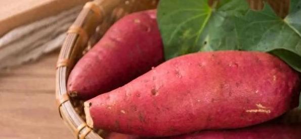 红薯|入秋后，少吃茄子豆角多吃它，价格便宜营养丰富，大人孩子都爱吃