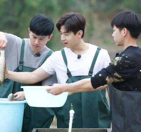 |我滴妈呀，连综艺也要内卷了