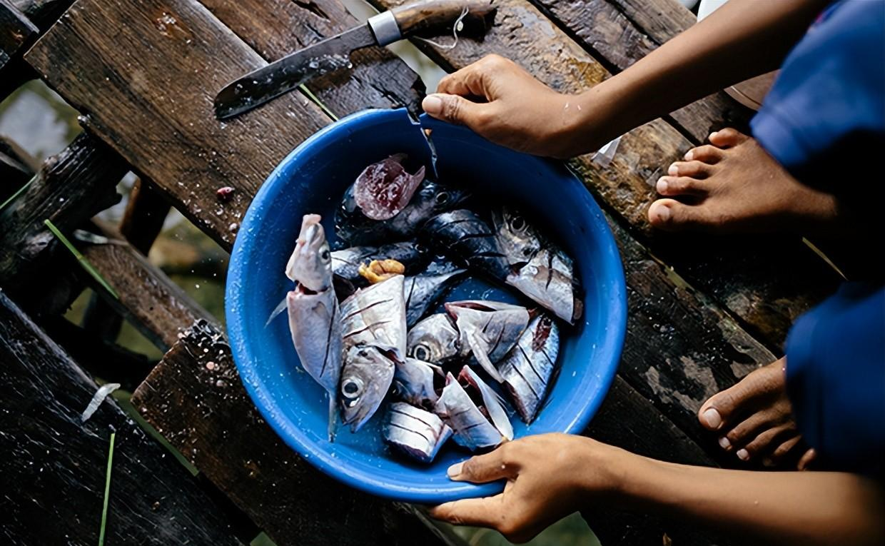 世界唯一无国籍的民族,身体进化为海洋生物,分娩不离开大海