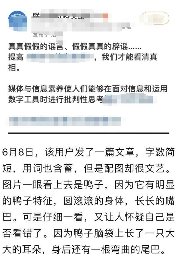 鸭脖|鼠头鸭脖丢脸丢到海外，最新进展大快人心，真相终于浮出水面了吗