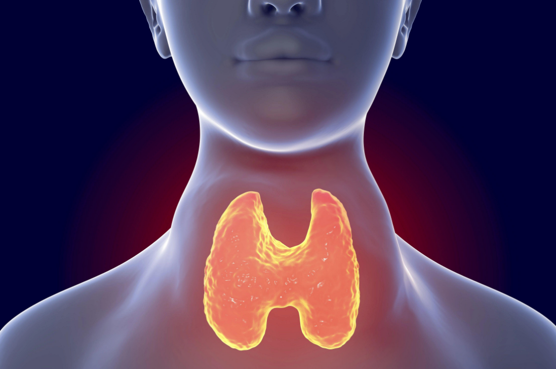 睡眠|多位院士联合声明：快停止食用“1早餐”，或对你的甲状腺不利