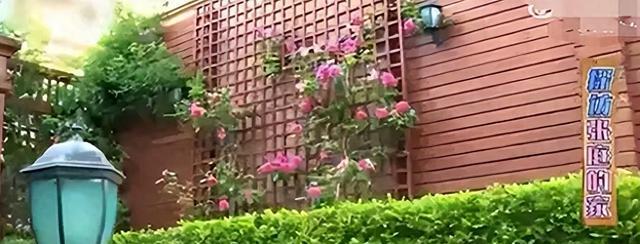 大快人心！花17亿买“楼”害人的张庭夫妇，如今下场凄惨