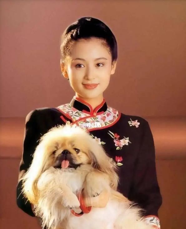 陈红|陈红，不仅有着一张不俗的脸，还有不一般的驭夫手段