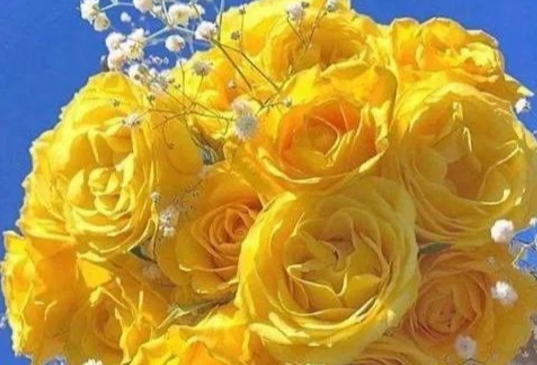 运势|详解生肖猴：兔年每月财运