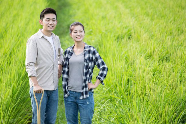 夫妻婚后aa制会幸福吗? - 情感资讯(主打网)