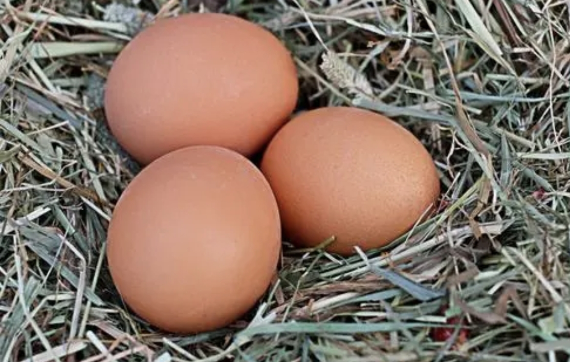 鸡蛋|鸡蛋只放油炒就错啦,教你3招,鸡蛋嫩滑,蓬松暄软真好吃