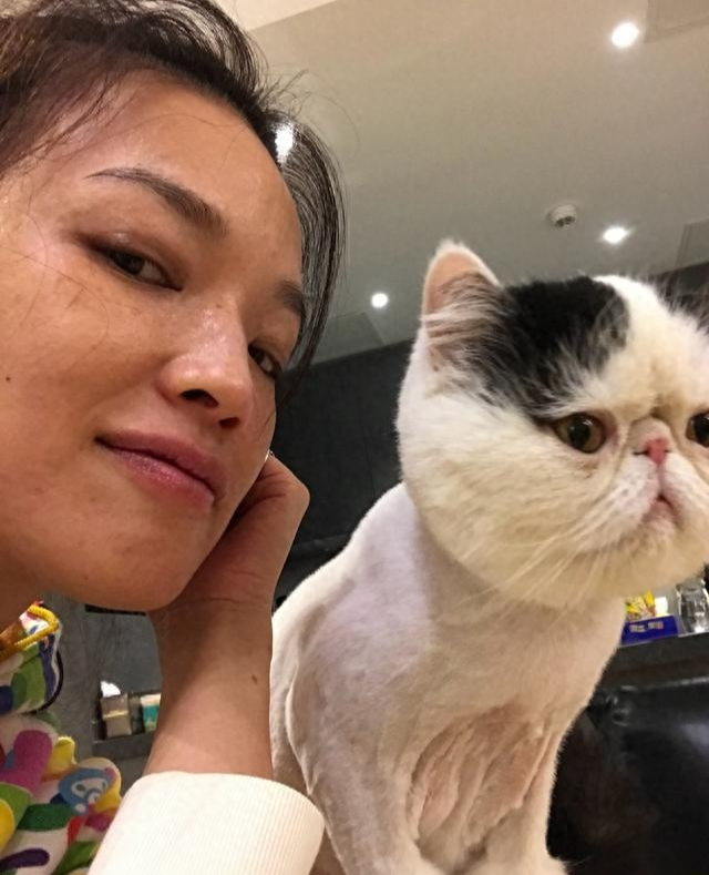 舒淇亮相红毯,宽眼距、小雀斑、大嘴巴的舒淇,到底哪里美?