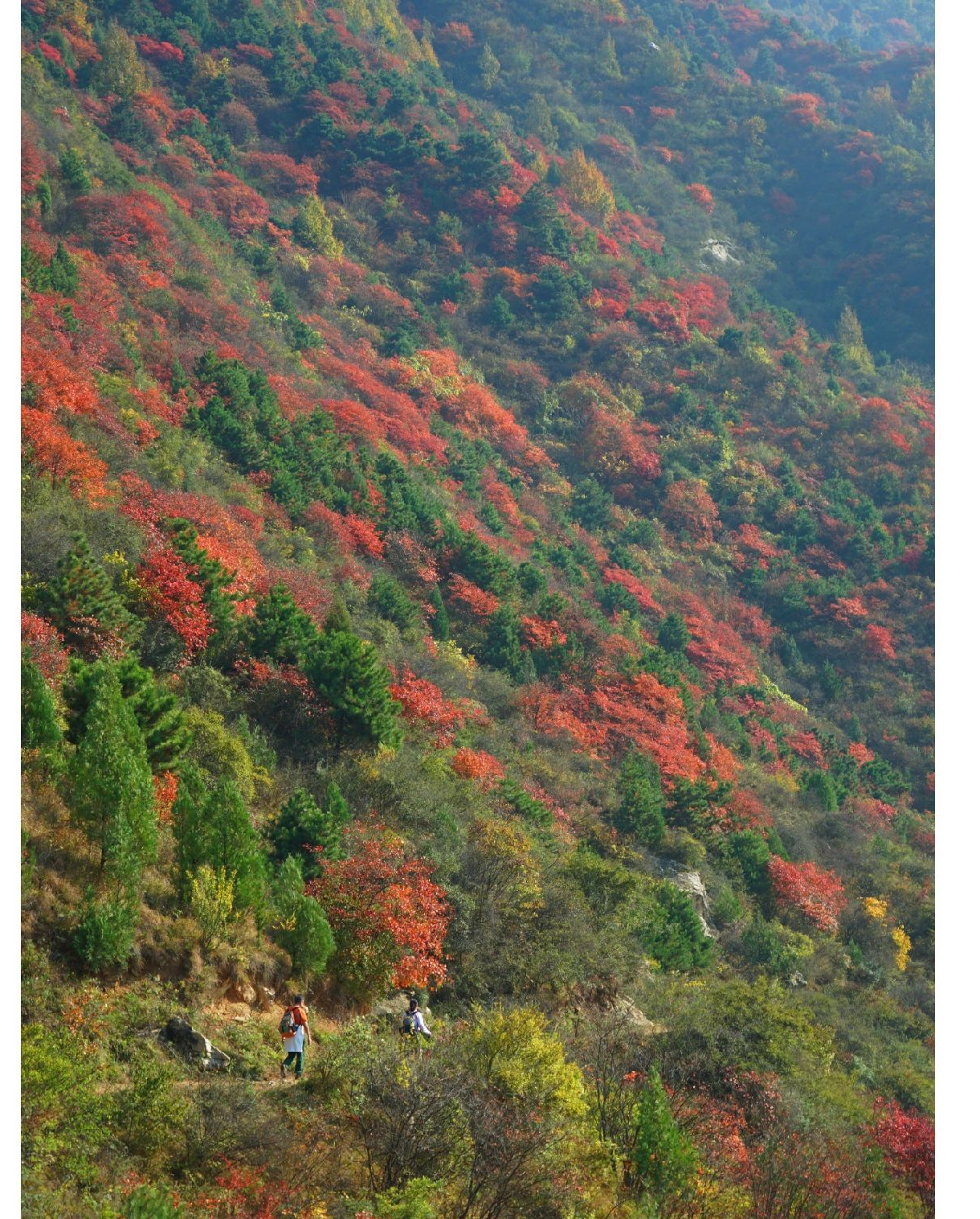 秦岭|公交可达的秦岭秘境，美得惊心动魄