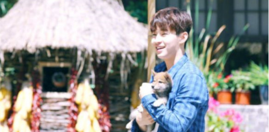 刘宪华|刘宪华回来了，才是《向往的生活》，但他只录制一期