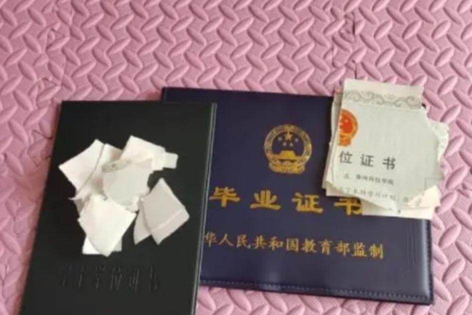 大学生|这文凭有啥用?大学生找工作处处碰壁怒撕毕业证