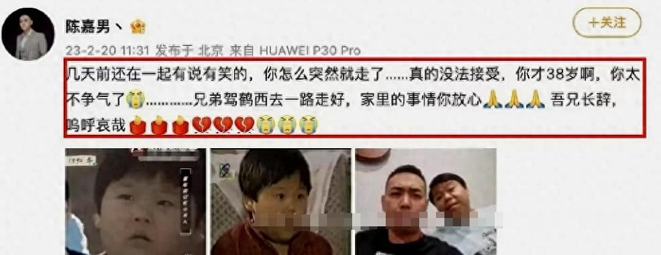 童星陈晨突然离世,好友曝其原生家庭不幸被骂,涉及隐私不再回应了