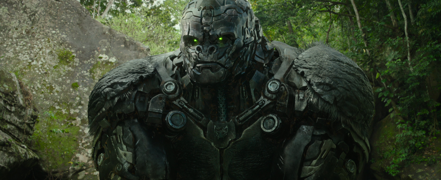 闪电侠|上映第8天,《变形金刚7》丢了冠军,《闪电侠》9小时票房破800万