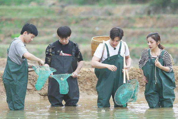 明星|向往的生活，精彩的人生，努力的方向