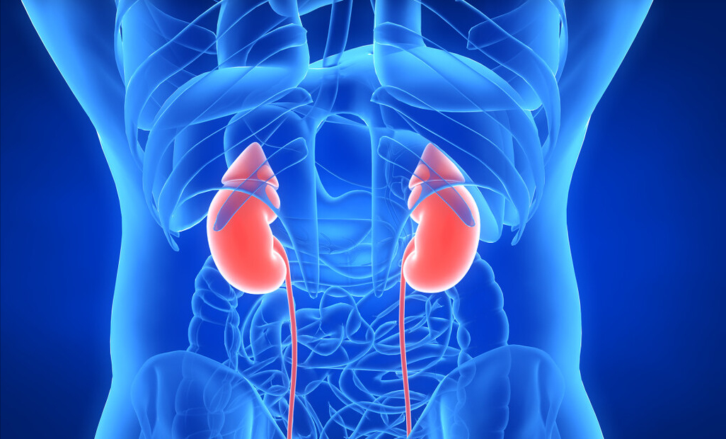 脑积水|40岁男子痛风发作，查出肾衰竭，提醒：2种食物加速恶化，管住嘴