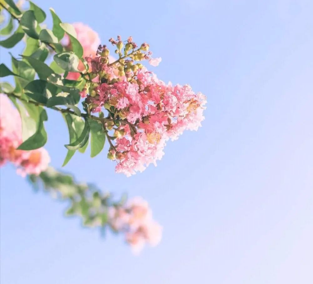 测测他适合什么工作?该怎么安排?