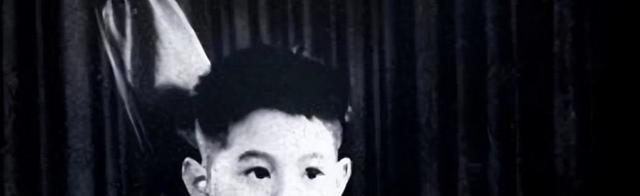 李连杰病情加剧，生命垂危利智瘦弱现身，神色凝重！坦言已抛弃治疗