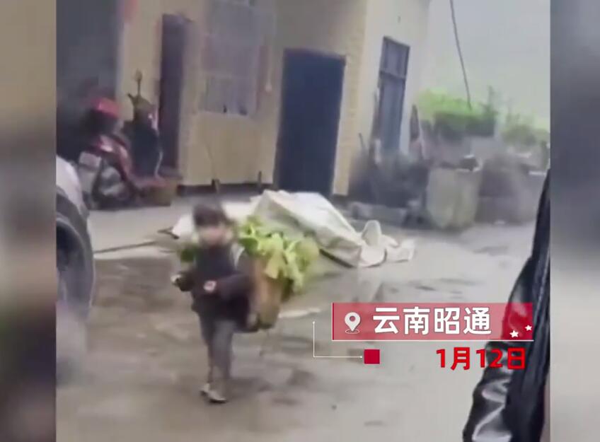 女孩|“背菜女孩”家庭年收入20万，自媒体虚构卖惨真就没人管？