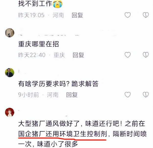 00后|“我找到工作了”，00后社恐女大学生进厂养猪