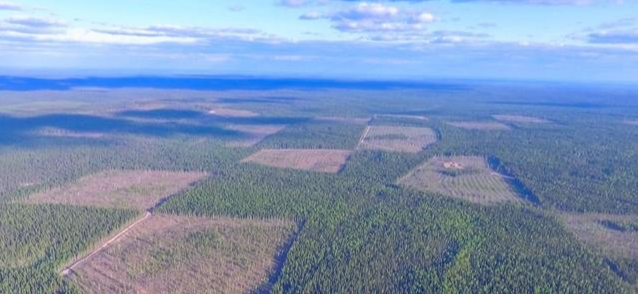 腌菜|西伯利亚:砍不完的树、挖不完的矿,菜比肉贵、家家囤腌菜
