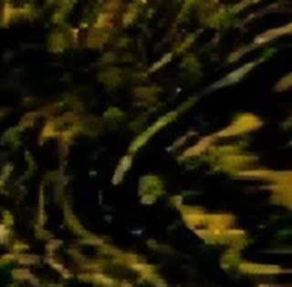 文玩|关于红木的鉴别:鸡翅木篇