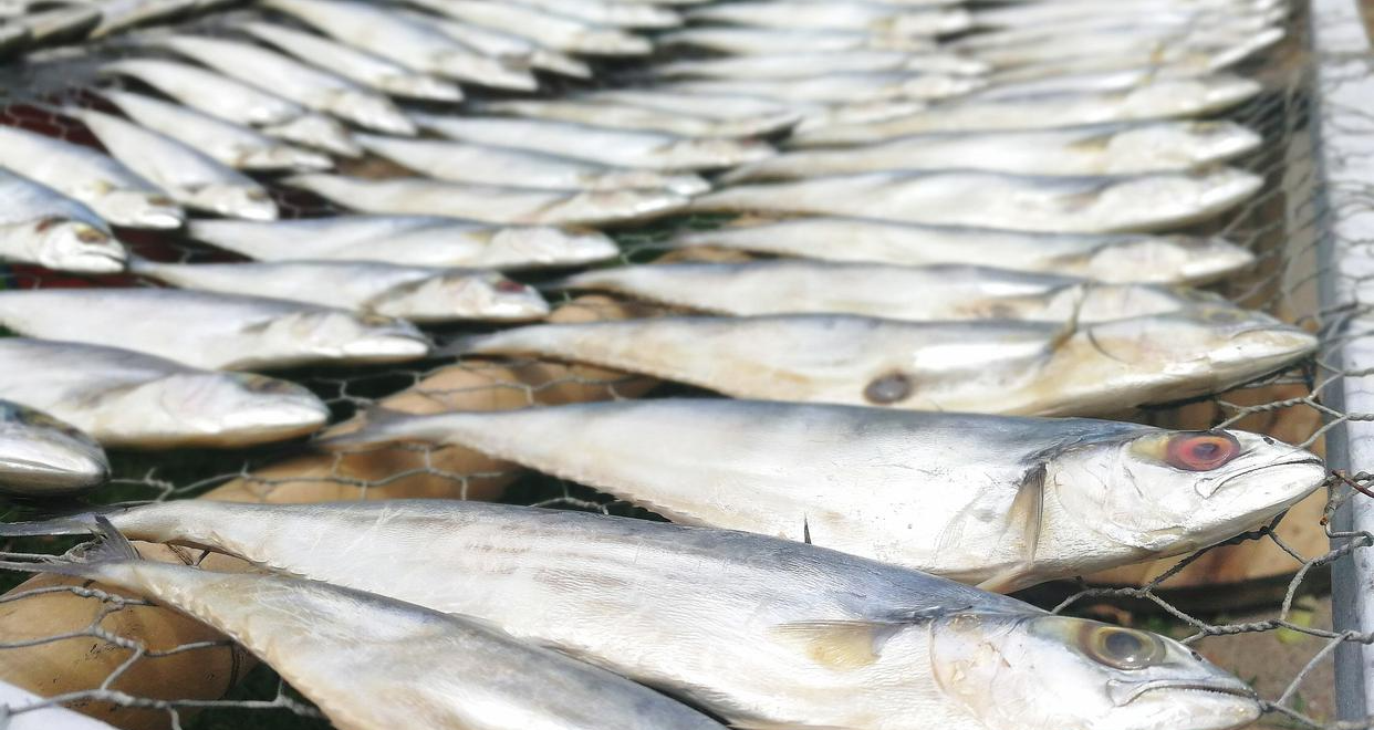 食材|盘点我国的的顶级食材,你吃过哪些