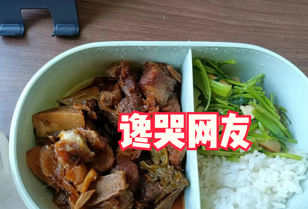 陆一|深圳小伙每天带饭上班,被同事取笑太寒酸,晒出饭菜馋哭网友