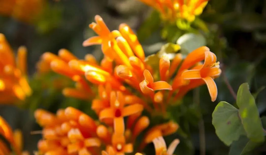 |奇门占卦:何时有求职机会,找到满意工作?